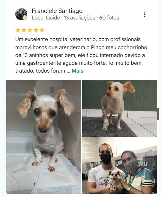 Avaliação real de tutor do HV Levet no Google