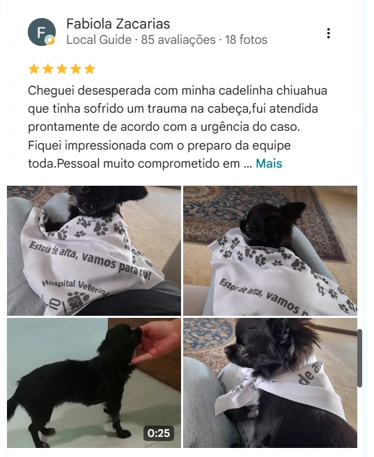 Avaliação real de tutor do HV Levet no Google