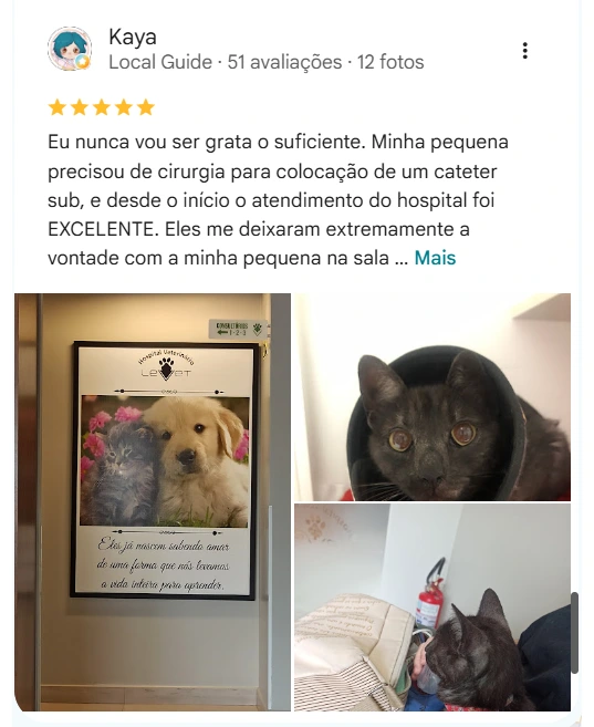Avaliação real de tutor do HV Levet no Google