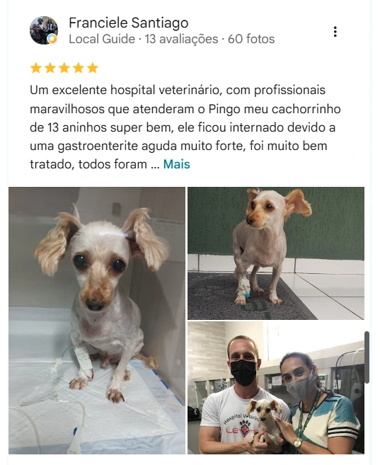 Avaliação real de tutor do HV Levet no Google