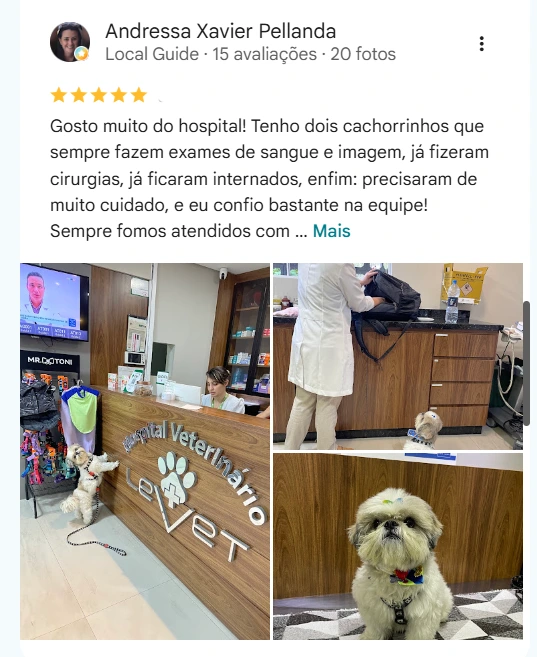 Avaliação real de tutor do HV Levet no Google