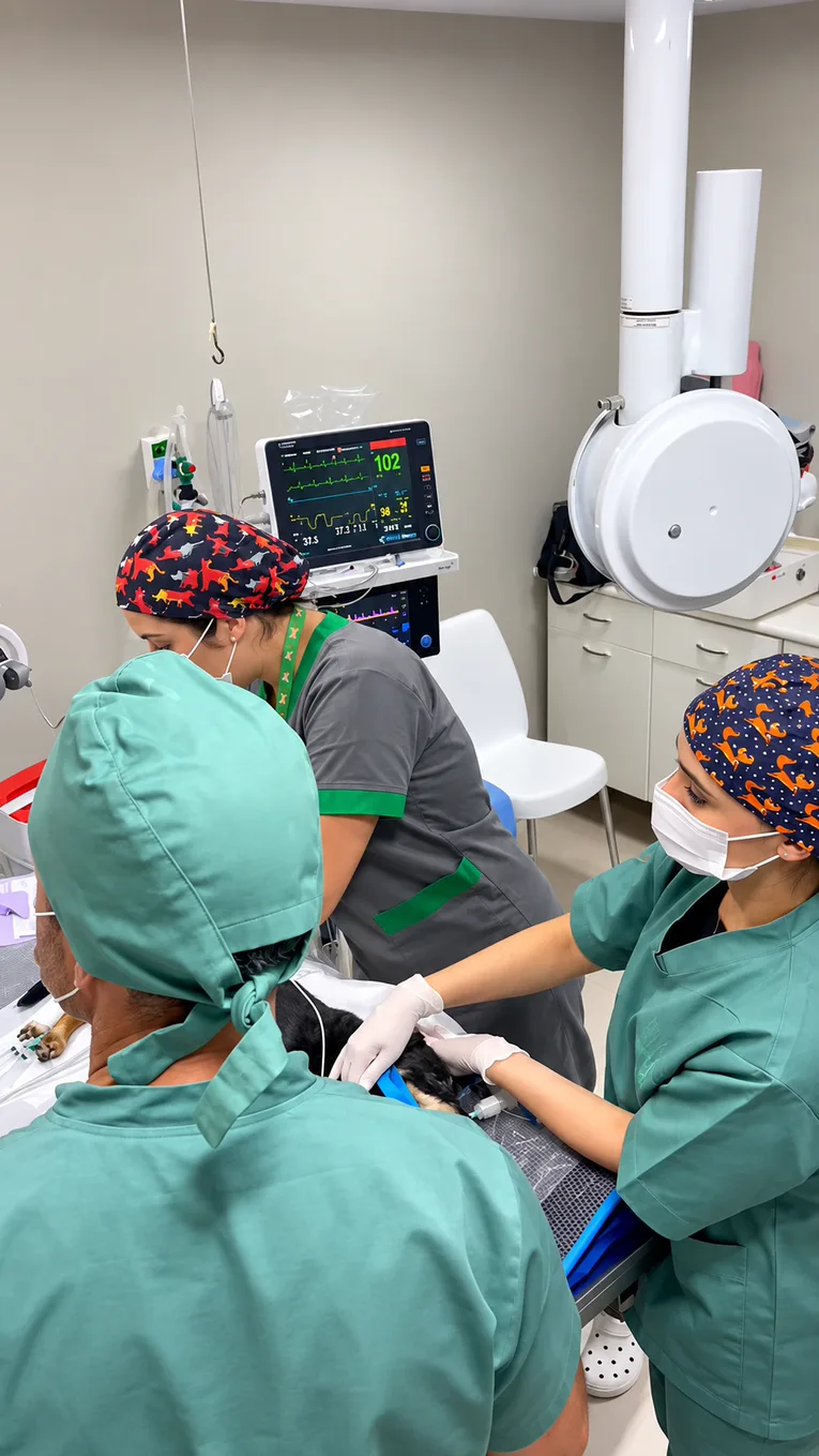 Equipe do HV Levet em procedimento no centro cirúrgico
